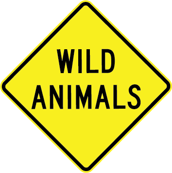 0339 W5-49.png