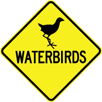 0444 MR-WDO-19.png