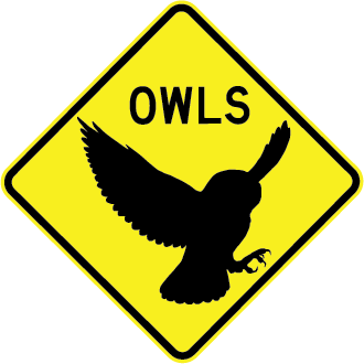 0448 MR-WDO-29.png
